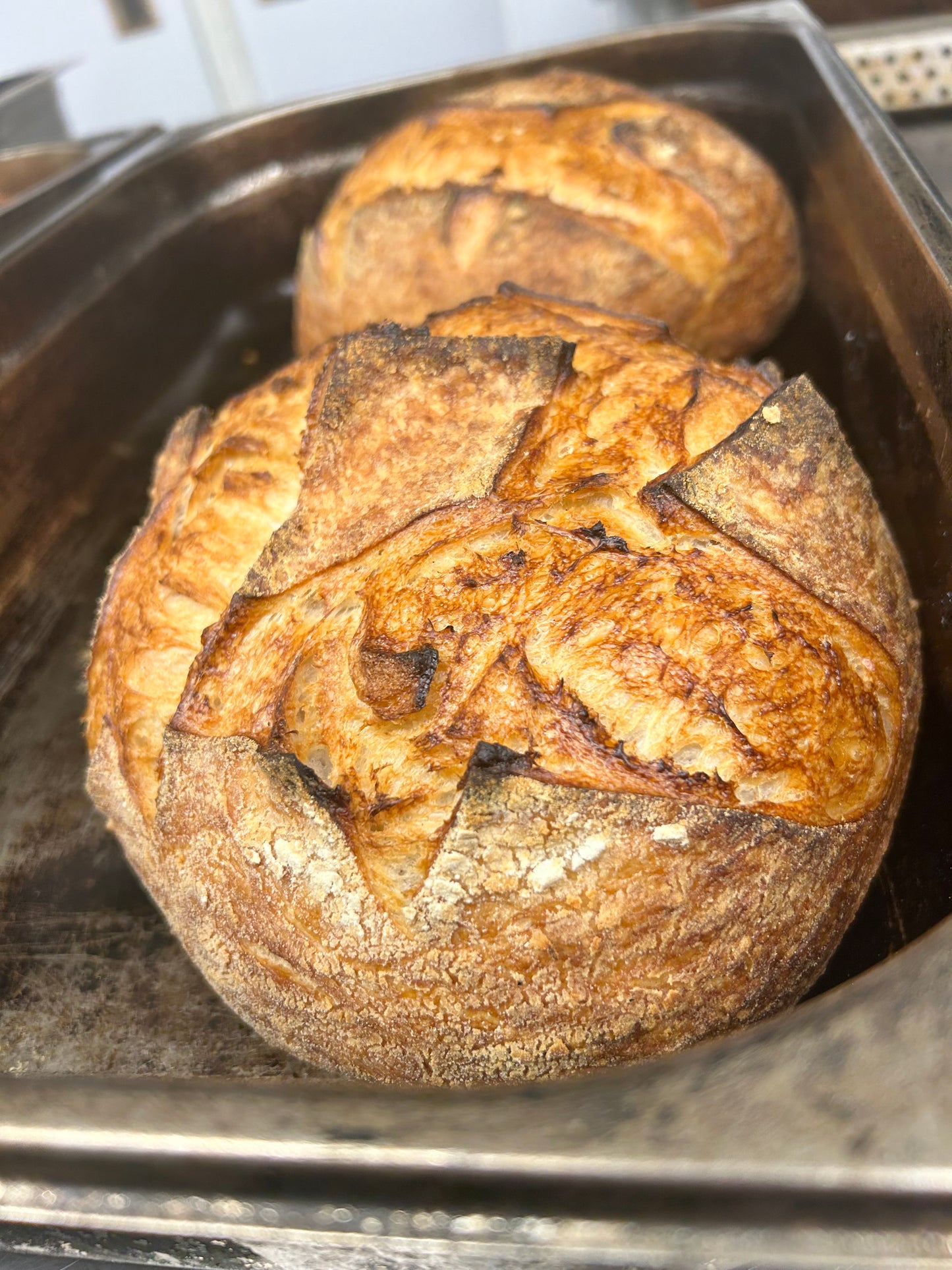Wholemeal sourdough loaf